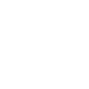 公式X